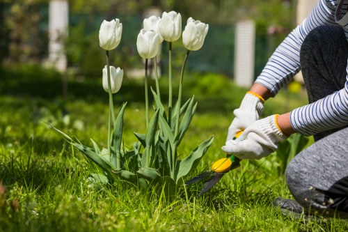 Person using a screen reader while viewing lawn care site content