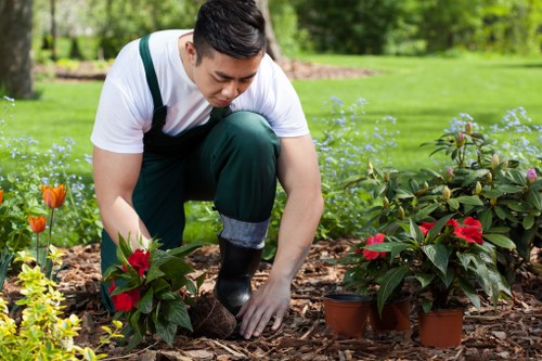 Our mission-driven lawn care team at About Us Lawn Mowing Cricklewood