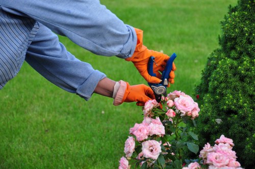 Crew performing lawn maintenance and edging in a residential garden