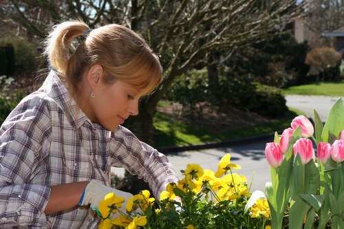 Inspector reviewing supplier documents during an audit for lawn care services