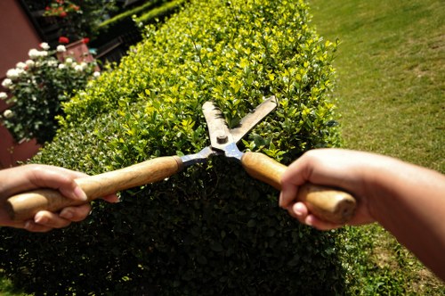 Professional lawn mowing service in Cricklewood.