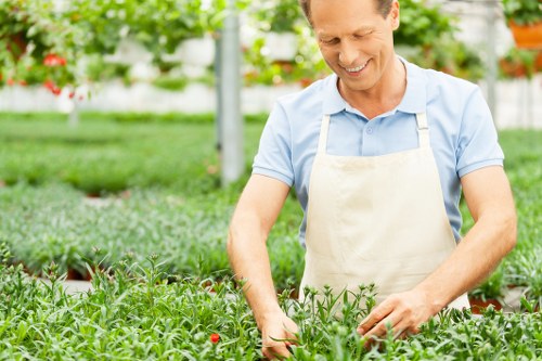 A man in a light blue shirt wearing a white gardening apron is working in a greenhouse or garden centre, tending to small flowering plants with red and purple blossoms. The garden setting features well-organized rows of lush green foliage and vibrant flowers, with a background of greenhouse structures and potted plants. The scene is brightly lit, suggesting natural daylight, and the environment appears healthy and well-maintained. This image represents professional gardening and plant care services that might be offered by Lawn Mowing Cricklewood, situated in or serving the Cricklewood area, where outdoor plant maintenance and garden management are key features of their expertise.